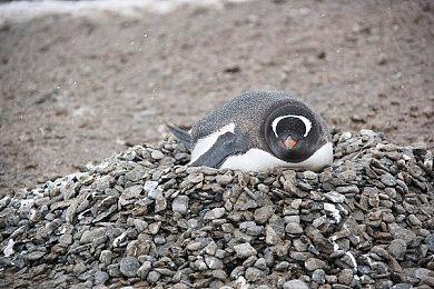 新作美少女×卡牌战斗RPG《Destiny Code》商店页面公开！参展ChinaJoy！