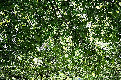 极限竞速：地平线5第一阶段直播回顾